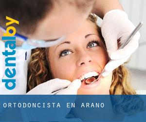 Ortodoncista en Arano
