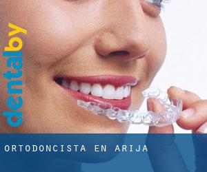 Ortodoncista en Arija