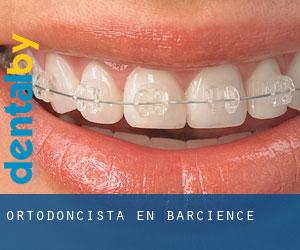 Ortodoncista en Barcience Ortodoncista en Barcience