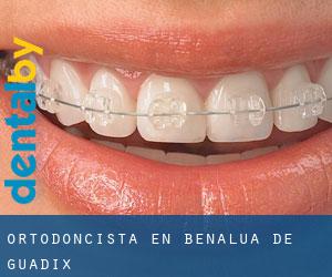 Ortodoncista en Benalúa de Guadix