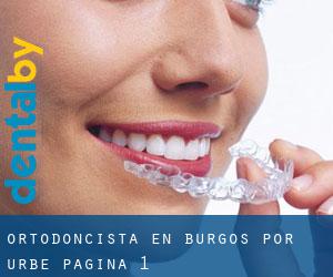 Ortodoncista en Burgos por urbe - página 1