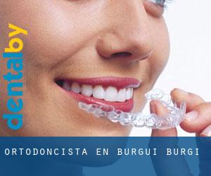 Ortodoncista en Burgui / Burgi