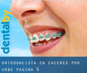 Ortodoncista en Cáceres por urbe - página 6