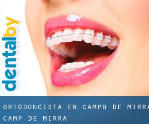 Ortodoncista en Campo de Mirra / Camp de Mirra