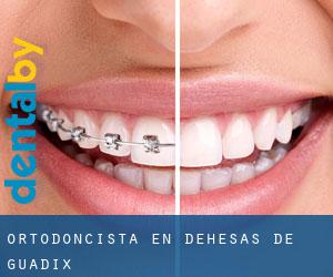 Ortodoncista en Dehesas de Guadix