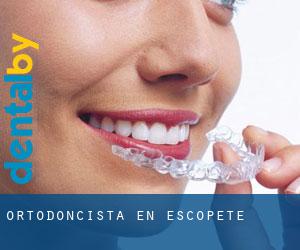 Ortodoncista en Escopete