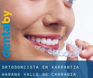 Ortodoncista en Karrantza Harana / Valle de Carranza
