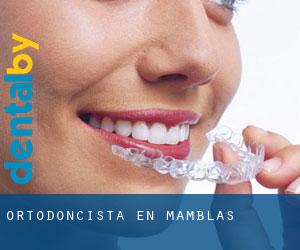 Ortodoncista en Mamblas