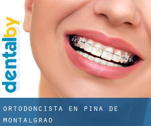 Ortodoncista en Pina de Montalgrao