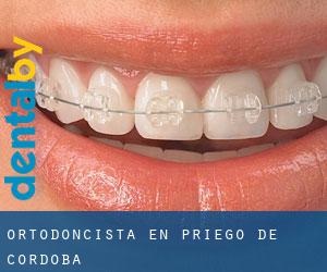 Ortodoncista en Priego de Córdoba Ortodoncista en Priego de Córdoba