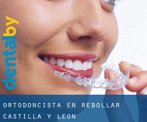 Ortodoncista en Rebollar (Castilla y León)