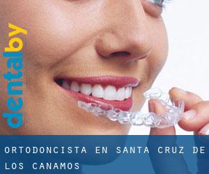 Ortodoncista en Santa Cruz de los Cáñamos