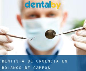 Dentista de urgencia en Bolaños de Campos