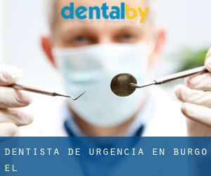 Dentista de urgencia en Burgo (El)