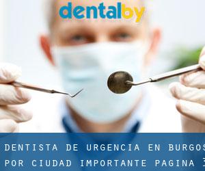 Dentista de urgencia en Burgos por ciudad importante - página 3