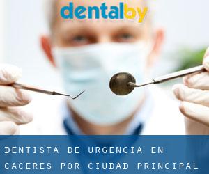 Dentista de urgencia en Cáceres por ciudad principal - página 4