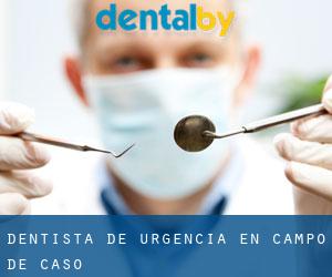 Dentista de urgencia en Campo de Caso