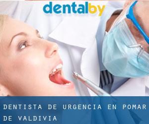Dentista de urgencia en Pomar de Valdivia