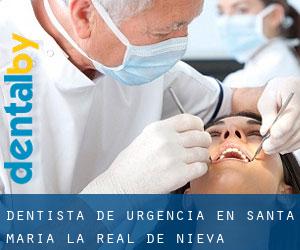 Dentista de urgencia en Santa María la Real de Nieva Dentista de urgencia en Santa María la Real de Nieva