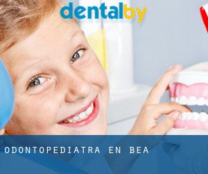 Odontopediatra en Bea