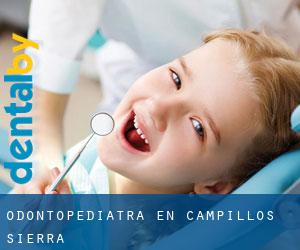 Odontopediatra en Campillos-Sierra