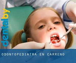 Odontopediatra en Carreño