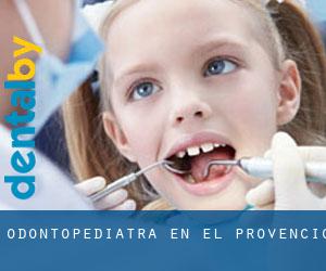 Odontopediatra en El Provencio