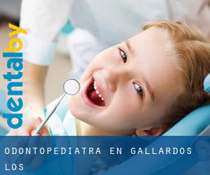 Odontopediatra en Gallardos (Los)