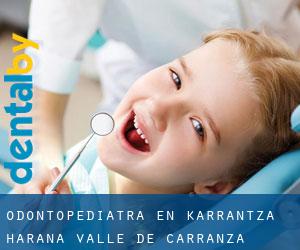 Odontopediatra en Karrantza Harana / Valle de Carranza