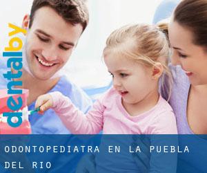 Odontopediatra en La Puebla del Río