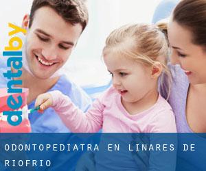 Odontopediatra en Linares de Riofrío