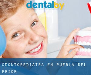 Odontopediatra en Puebla del Prior