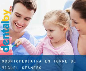 Odontopediatra en Torre de Miguel Sesmero Odontopediatra en Torre de Miguel Sesmero