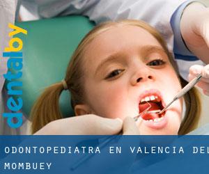 Odontopediatra en Valencia del Mombuey