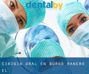Cirugía Oral en Burgo Ranero (El)