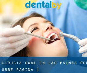 Cirugía Oral en Las Palmas por urbe - página 1