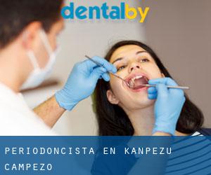 Periodoncista en Kanpezu / Campezo