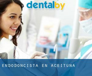 Endodoncista en Aceituna