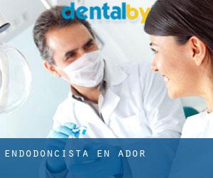Endodoncista en Ador