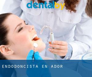 Endodoncista en Ador