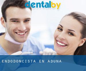 Endodoncista en Aduna