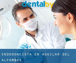 Endodoncista en Aguilar del Alfambra