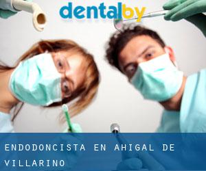 Endodoncista en Ahigal de Villarino