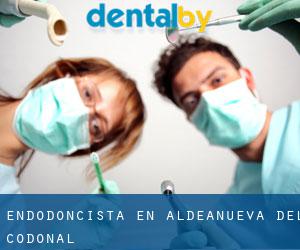 Endodoncista en Aldeanueva del Codonal