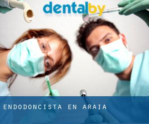 Endodoncista en Araia