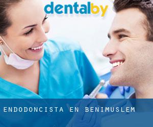Endodoncista en Benimuslem