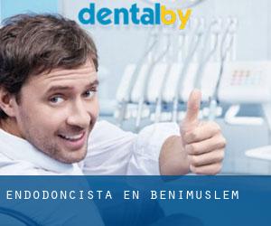 Endodoncista en Benimuslem