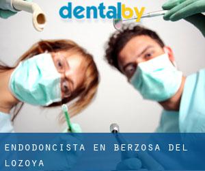 Endodoncista en Berzosa del Lozoya