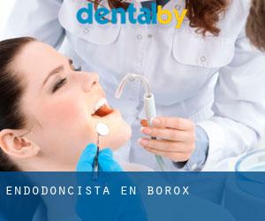 Endodoncista en Borox