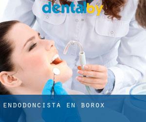 Endodoncista en Borox Endodoncista en Borox